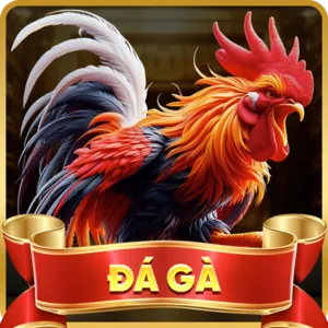 Hỗ trợ qua email 68gb